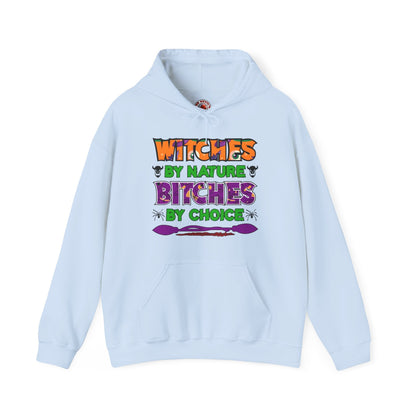 Witches By Nature Bitches By Choice Hooded Sweatshirt The Devil's Pickle