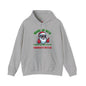 Broke Up With Winter Because Summer Is Hotter Hooded Sweatshirt The Devil's Pickle