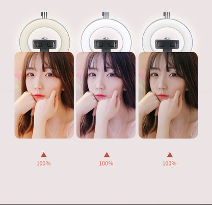 New P40D Portable Selfie Stick With 6 Inches Round Net Celebrity Beauty Fill Light Mobile Phone Live Support