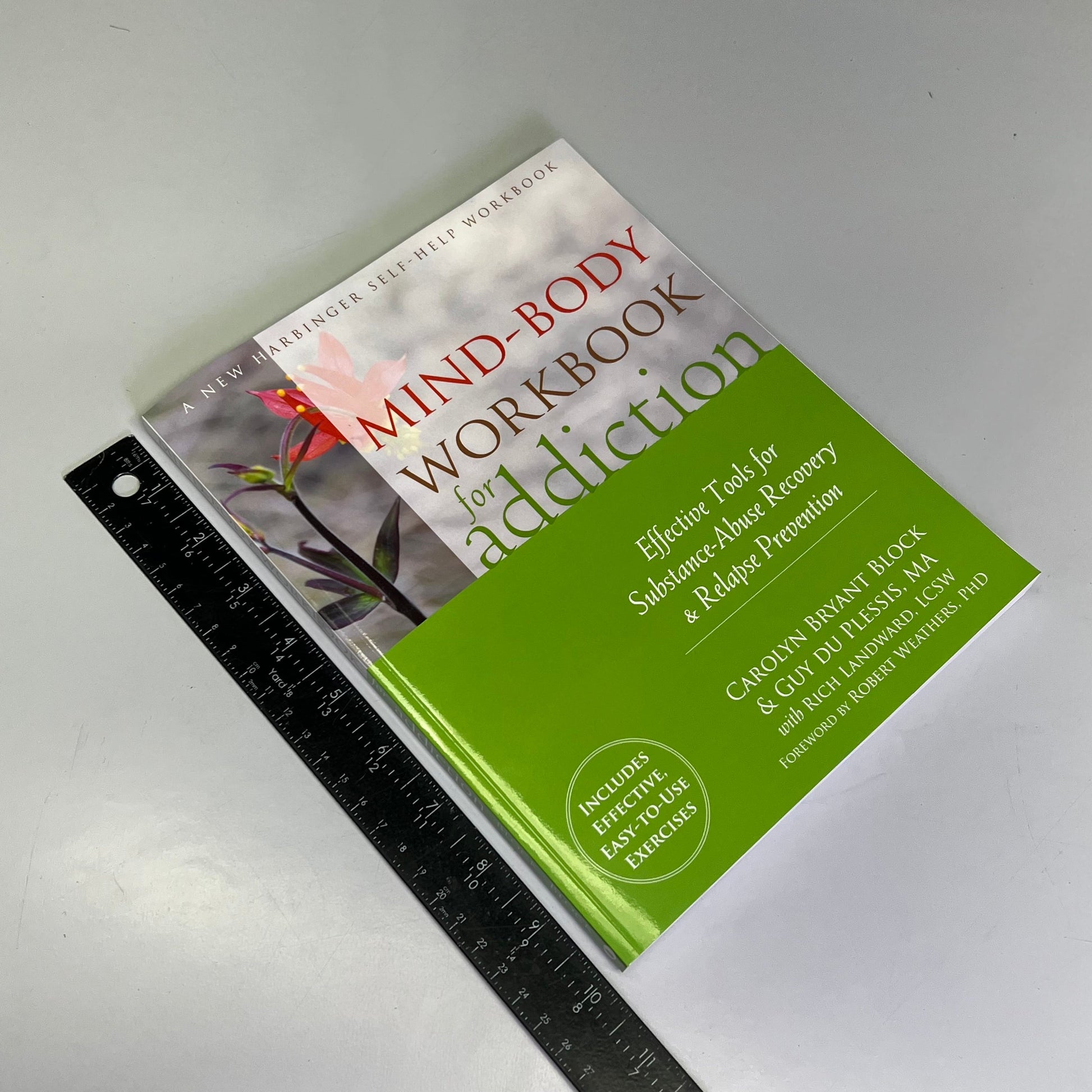 MIND-BODY WORKBOOK FOR ADDICTION Effective Tools Substance Abuse Recovery Book PayWut