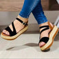 Platform Sandals Hollow Buckle Women's Shoes See size chart under “more details” The Fashion Celestial