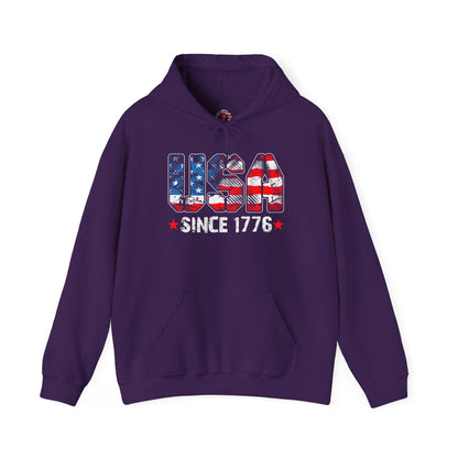 USA Since 1776 Hooded Sweatshirt The Devil's Pickle