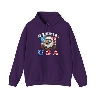 My Pronouns Are U.S.A Hooded Sweatshirt The Devil's Pickle