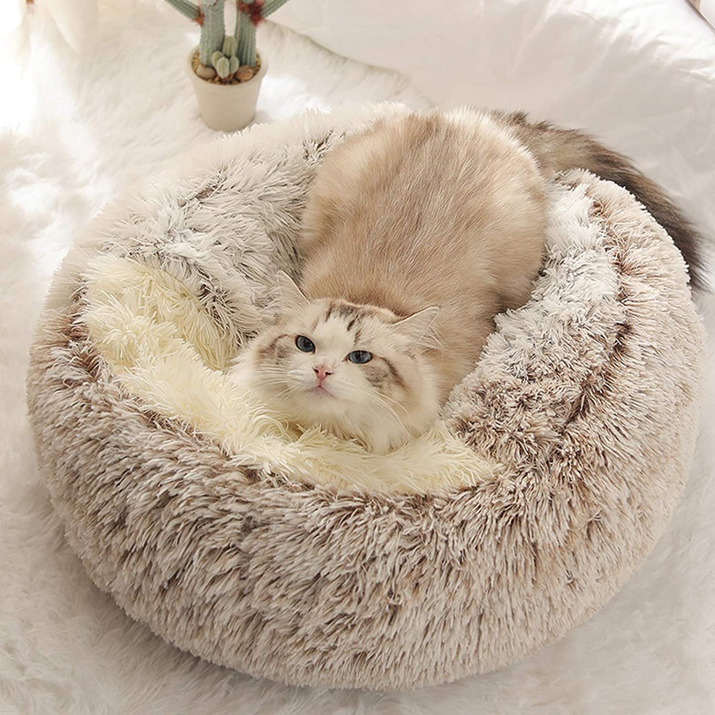 2 in 1 Round Warm Pet Bed House Polyester Cat Bed, Long Plush, Winter, with Sleeping Bag Sofa Cushion for Cat NovaCart