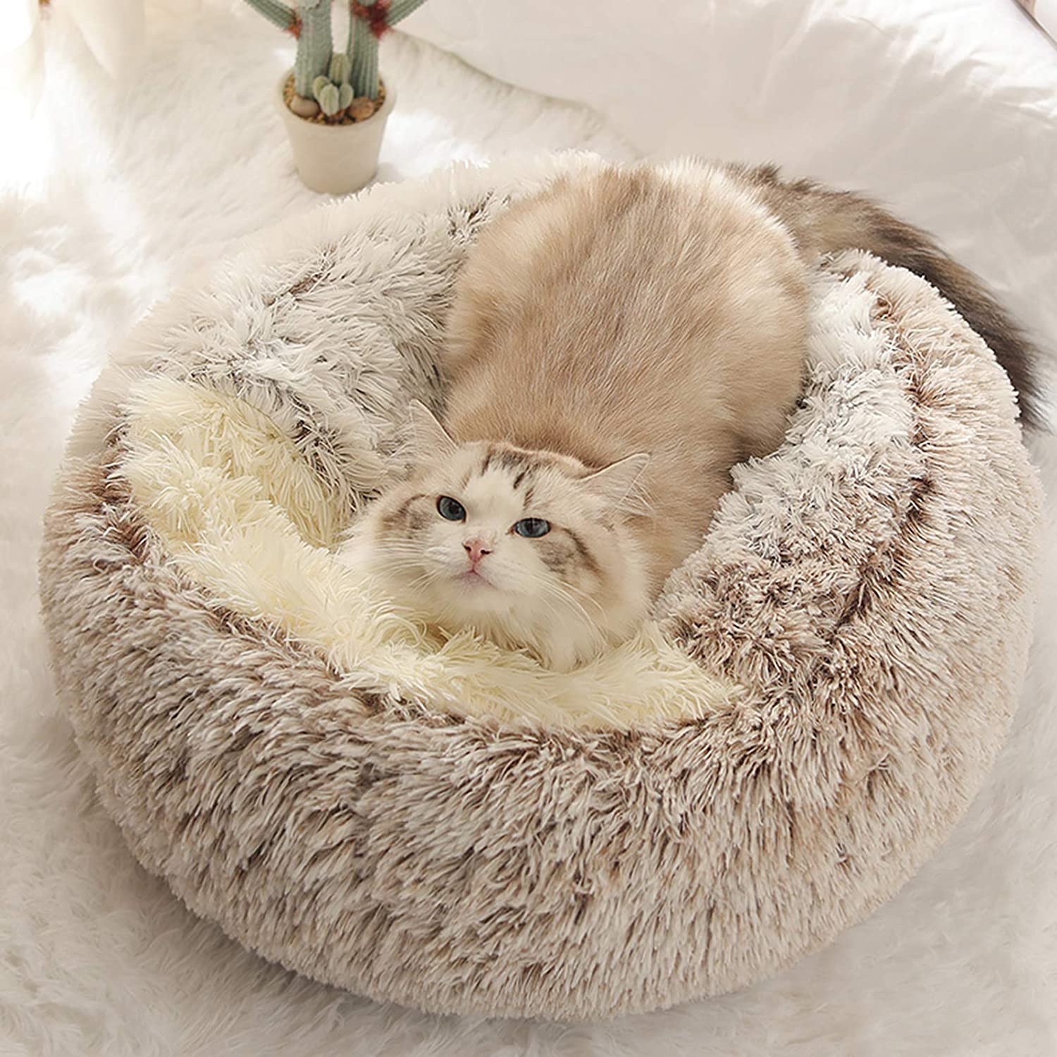 2 in 1 Round Warm Pet Bed House Polyester Cat Bed, Long Plush, Winter, with Sleeping Bag Sofa Cushion for Cat NovaCart