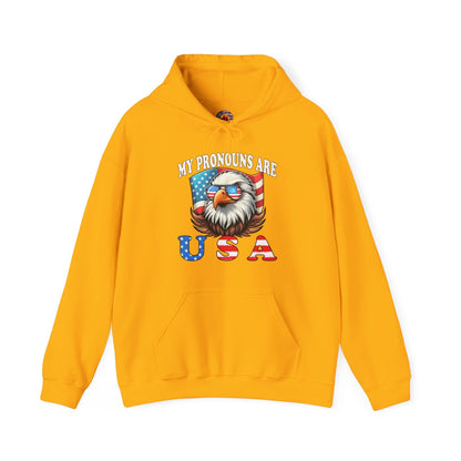My Pronouns Are U.S.A Hooded Sweatshirt The Devil's Pickle