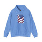 Distressed American Flag Hooded Sweatshirt The Devil's Pickle