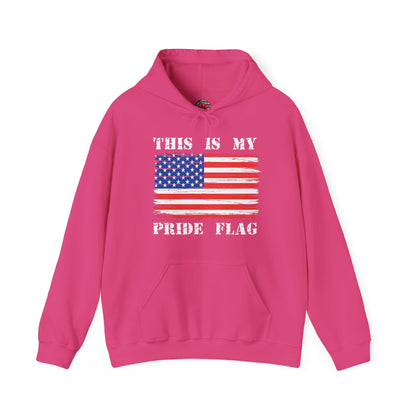 This Is My Pride Flag Hooded Sweatshirt The Devil's Pickle
