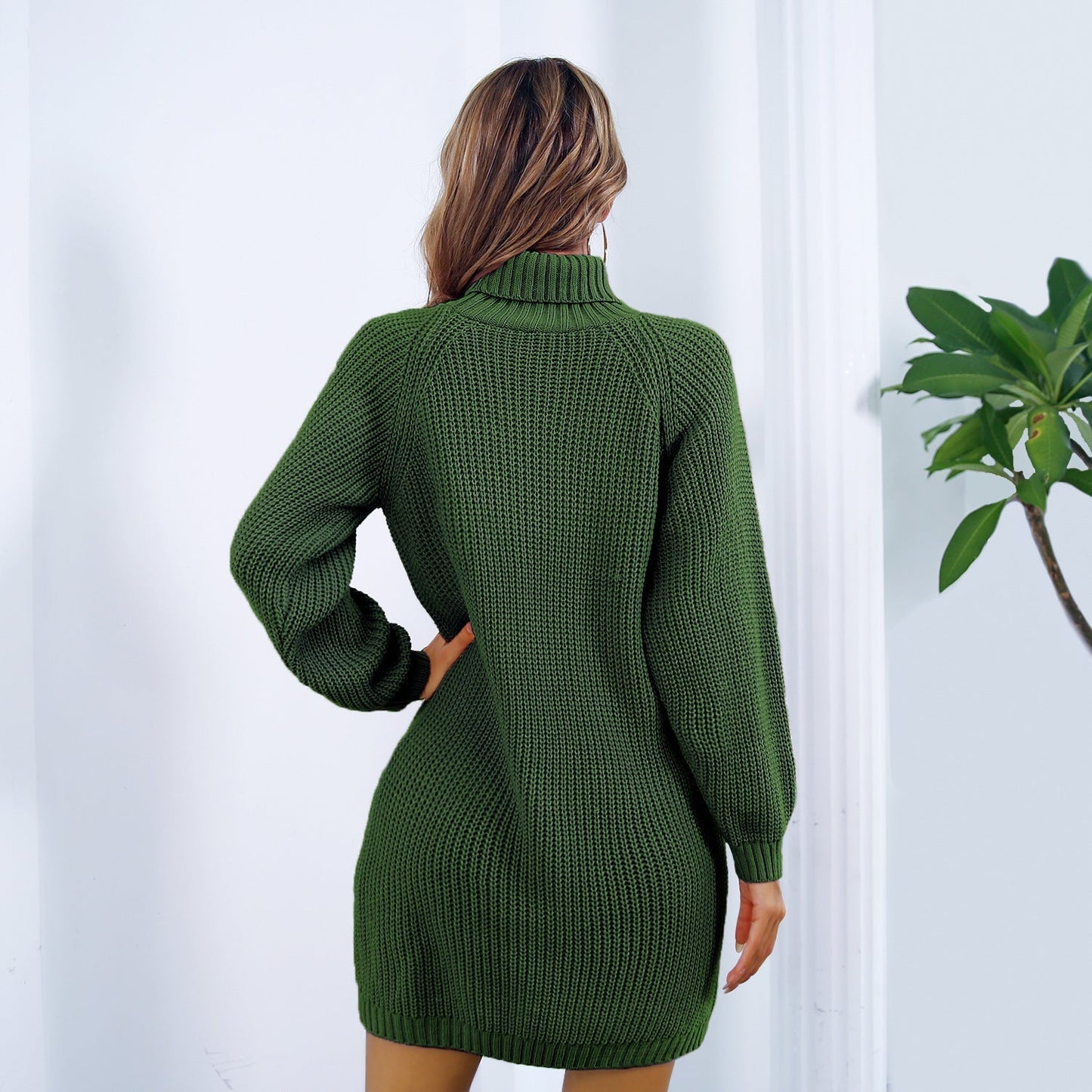 Winter Turtleneck Long Sweater Dress With Button Design Leisure Clinch Long Sleeve Base Sweater Women Grayceful LLC