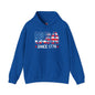 USA Since 1776 Hooded Sweatshirt The Devil's Pickle