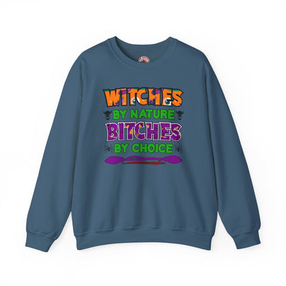 Witches By Nature Bitches By Choice Crewneck Sweatshirt The Devil's Pickle