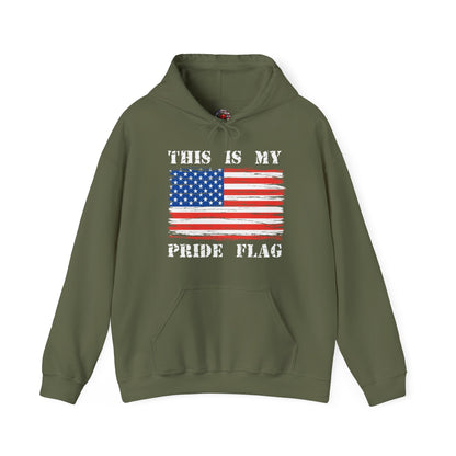 This Is My Pride Flag Hooded Sweatshirt The Devil's Pickle