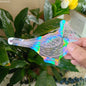 Sun Catcher PVC Self Adhesive Glass Window Stickers ViralGalleria.com