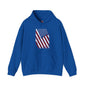 Distressed American Flag Hooded Sweatshirt The Devil's Pickle