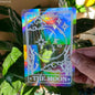 Sun Catcher PVC Self Adhesive Glass Window Stickers ViralGalleria.com