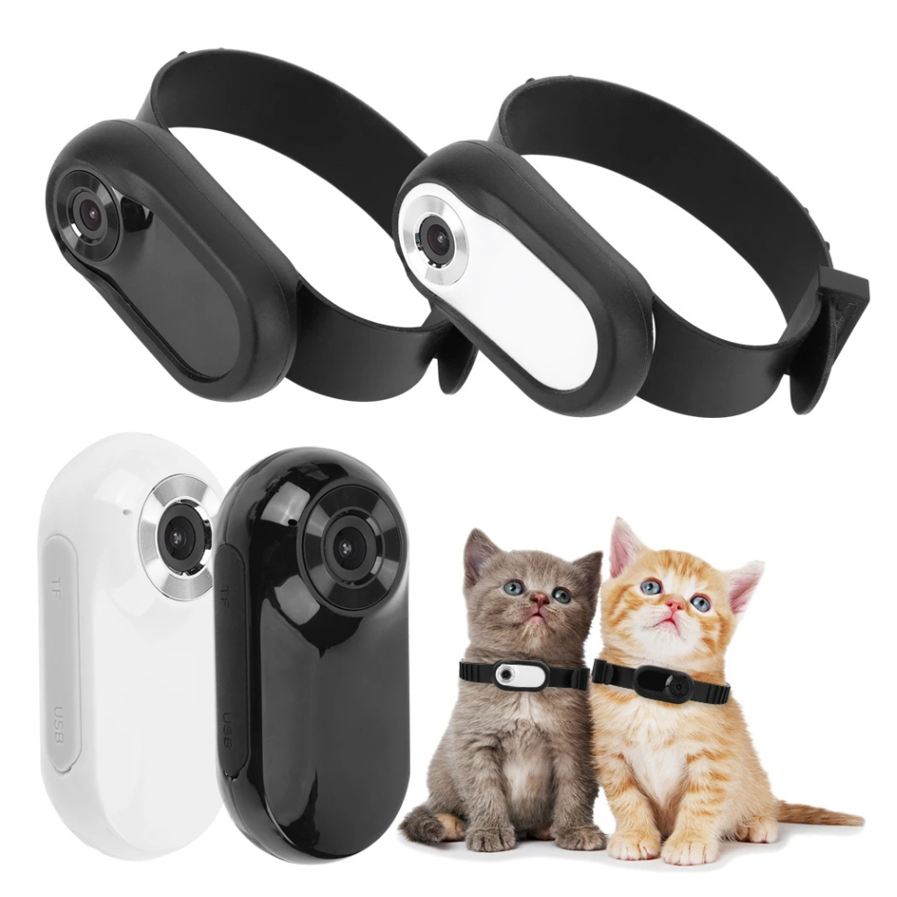 Camera Collar for Cats & Dogs ViralGalleria.com