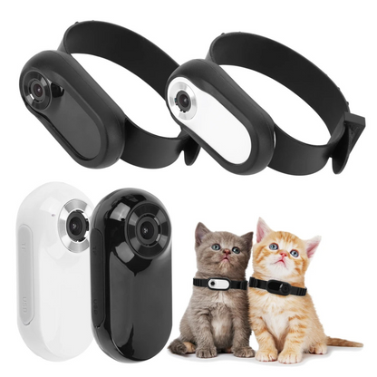 Camera Collar for Cats & Dogs ViralGalleria.com