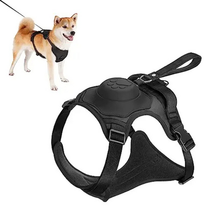 Dog Harness and Automatic Retractable Leash Kit ViralGalleria.com