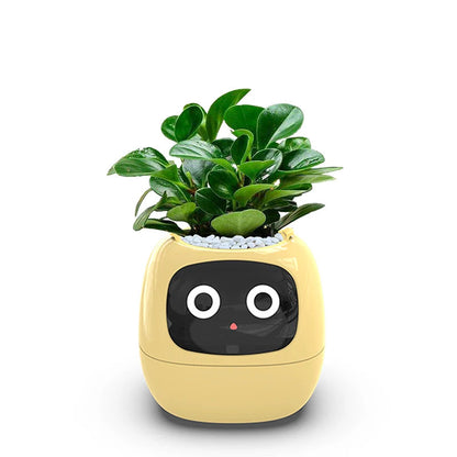 Smart Small Flower Pot ViralGalleria.com