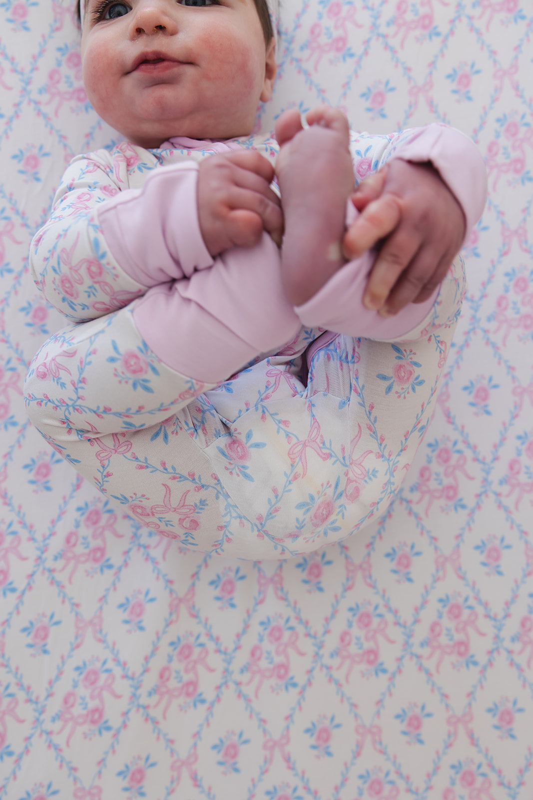 Charlotte - Zippy Blush Lotus