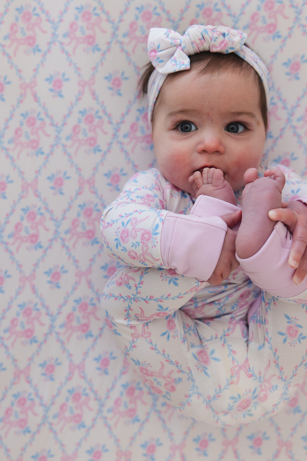 Charlotte - Zippy Blush Lotus
