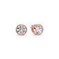 Round Cut Stud Bezel Set Earring Fascinating Diamonds