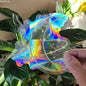 Sun Catcher PVC Self Adhesive Glass Window Stickers ViralGalleria.com