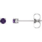14K White 2.5 mm Natural Amethyst Earrings Ethereal Legacy Boutiques