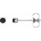 14K White 2.5 mm Natural Black Onyx Earrings