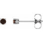 14K White 2.5 mm Natural Smoky Quartz Earrings Ethereal Legacy Boutiques