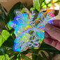 Sun Catcher PVC Self Adhesive Glass Window Stickers ViralGalleria.com
