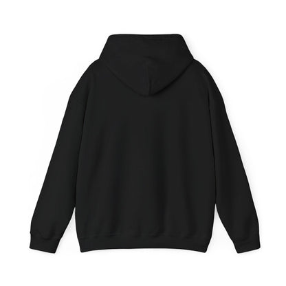 St Patricks Hoodie You Look Like You Love Me Country in My Heart