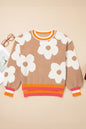 Flower Colorblock Contrast Stripe Baggy Sweater Shop Style & More | Fresh Looks, Everyday Deals & Free Shipping