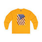Distressed American Flag Long Sleeve Tee The Devil's Pickle