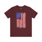 Tattered American Flag T-Shirt The Devil's Pickle