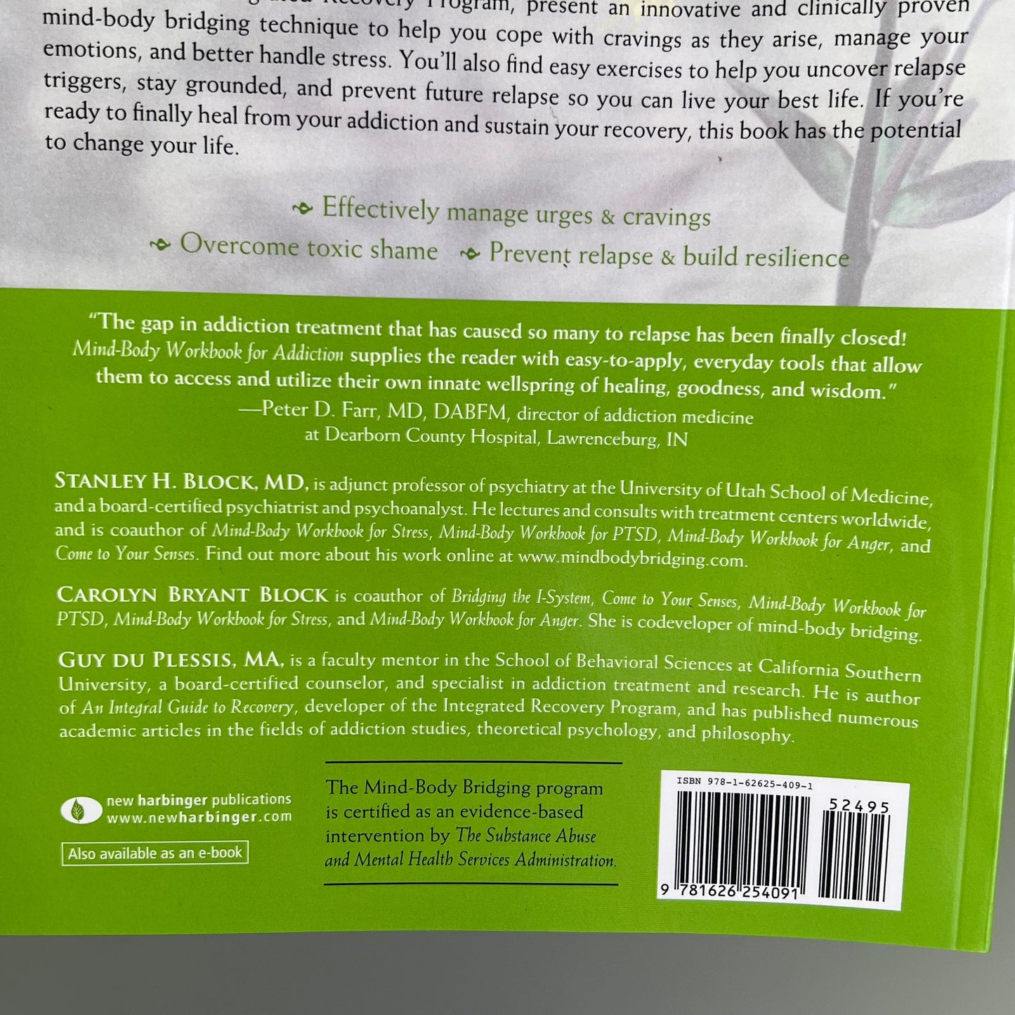 MIND-BODY WORKBOOK FOR ADDICTION Effective Tools Substance Abuse Recovery Book PayWut