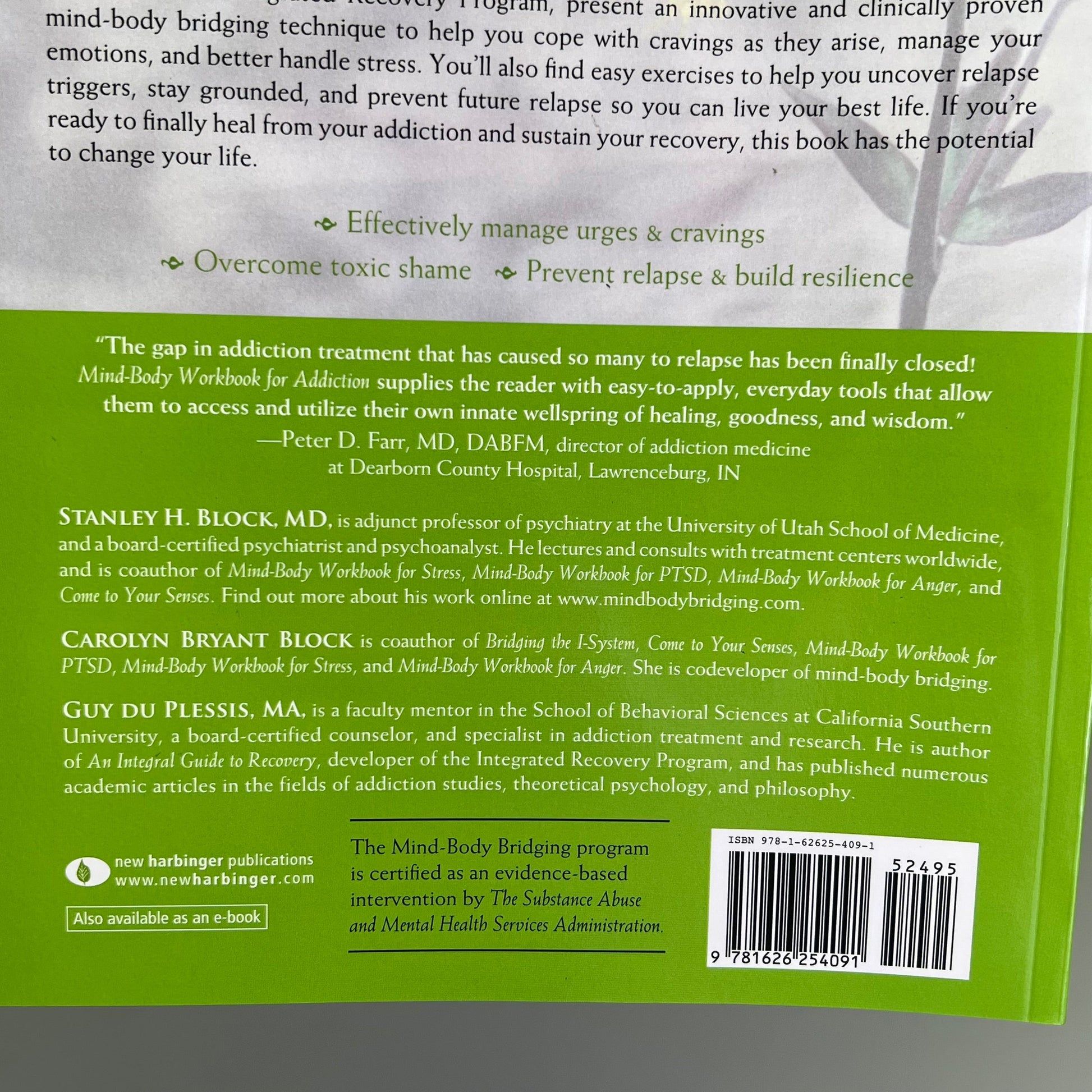 MIND-BODY WORKBOOK FOR ADDICTION Effective Tools Substance Abuse Recovery Book PayWut