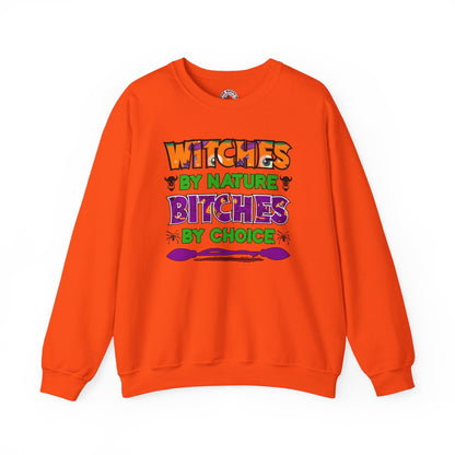 Witches By Nature Bitches By Choice Crewneck Sweatshirt The Devil's Pickle