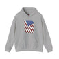 Distressed American Flag Hooded Sweatshirt The Devil's Pickle