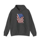 Distressed American Flag Hooded Sweatshirt The Devil's Pickle
