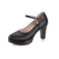 Pointed Toe Chunky Heels for Women