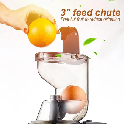 Masticating Juicer Machine ViralGalleria.com
