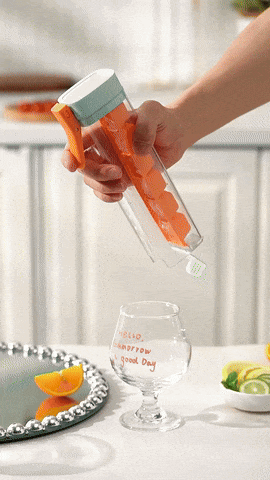 Ice Cube Maker Handle Tray ViralGalleria.com