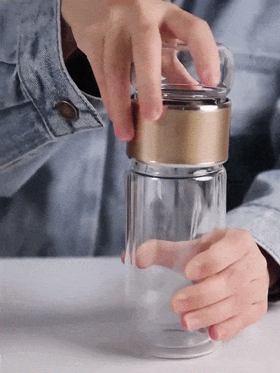 Double Wall Glass Tea Infuser Bottle ViralGalleria.com