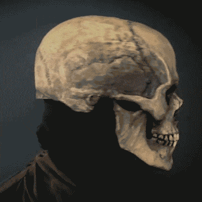 Halloween Skeleton Mask ViralGalleria.com
