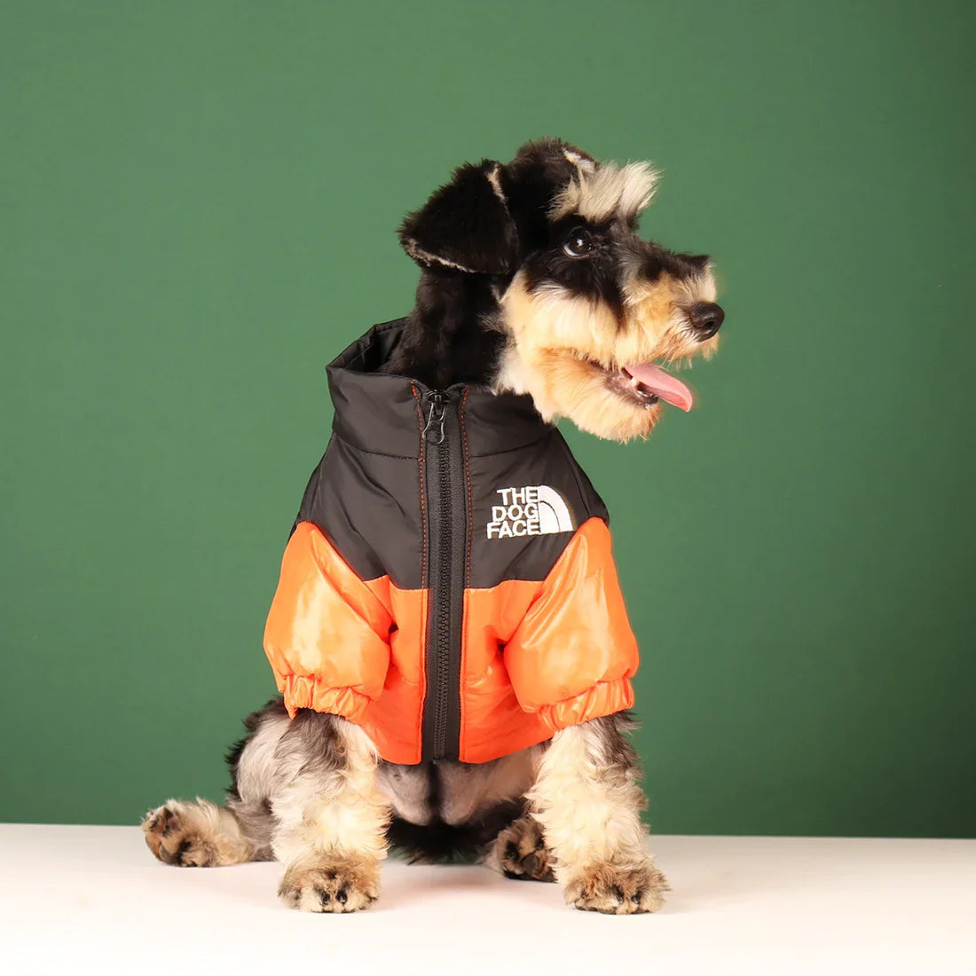 Windproof Dog Jacket The Dog Face ViralGalleria.com