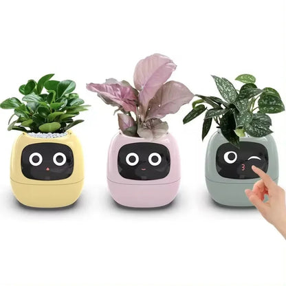Smart Small Flower Pot ViralGalleria.com