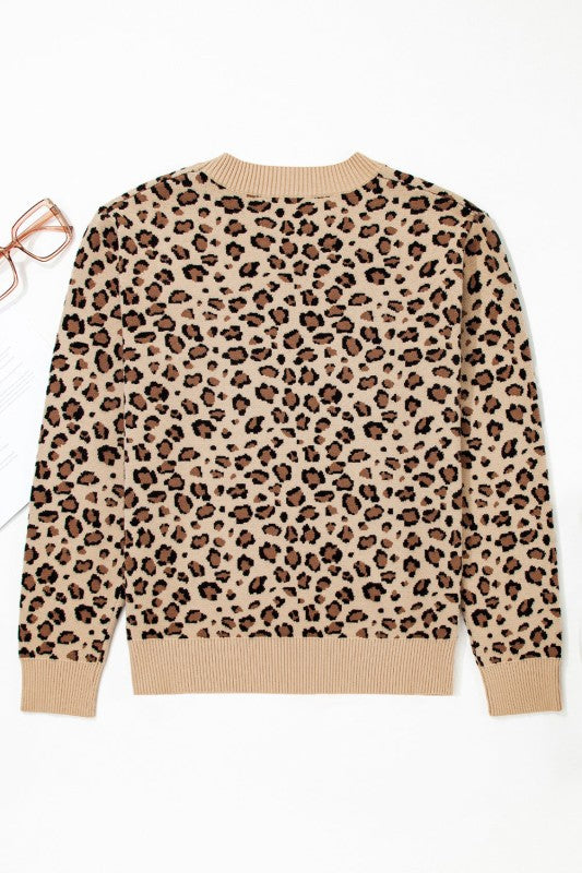 Leopard Contrast Trim Dolman Sleeve Sweater Shop Style & More | Fresh Looks, Everyday Deals & Free Shipping