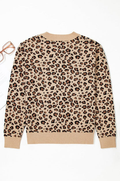 Leopard Contrast Trim Dolman Sleeve Sweater Shop Style & More | Fresh Looks, Everyday Deals & Free Shipping