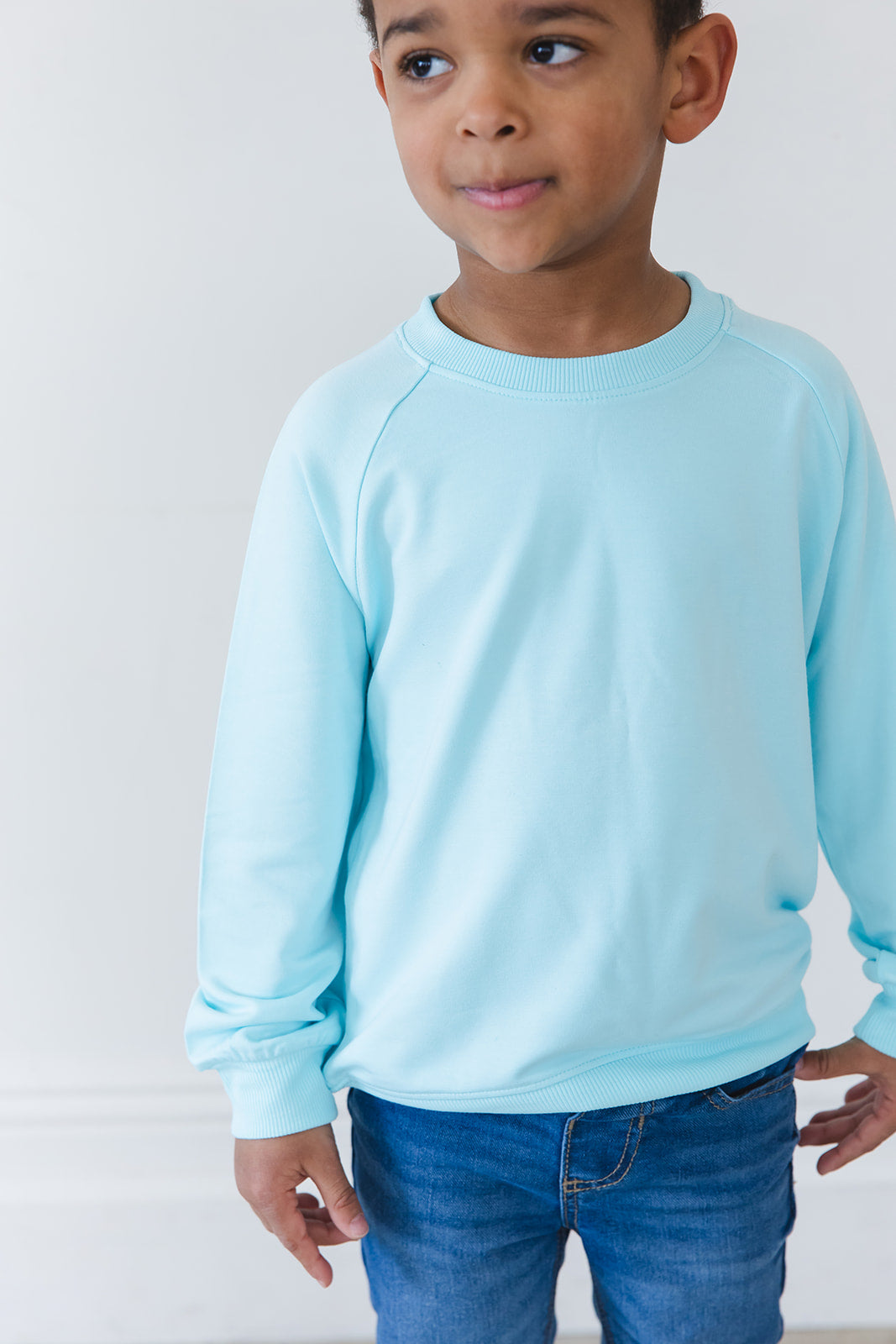 (SOLID) Magical Mashup - Bamboo Terry Sweatshirt Blush Lotus